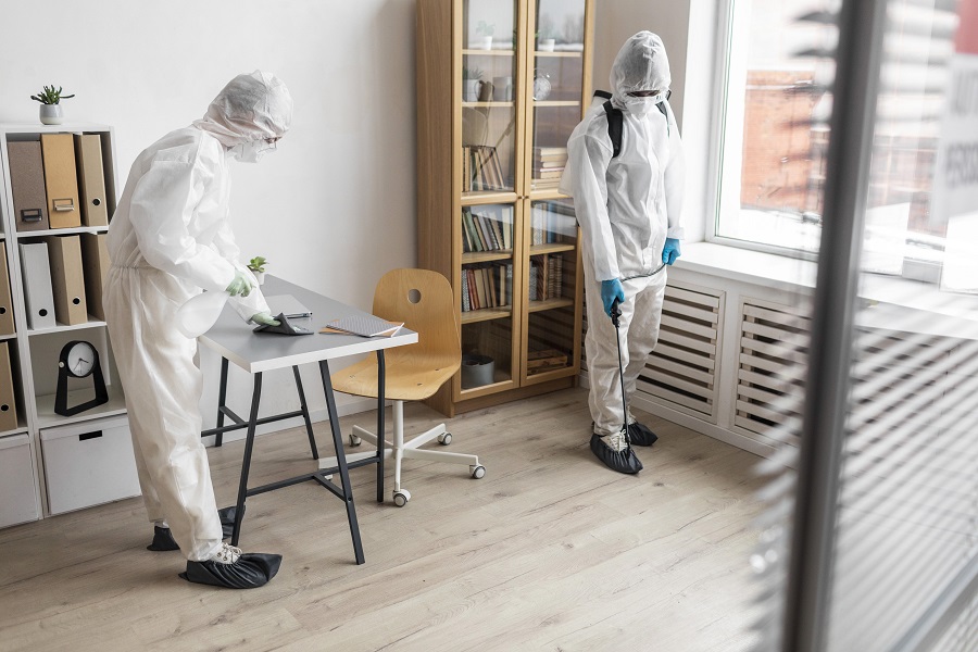 How to Pest-Proof Your Home Without Harsh Chemicals